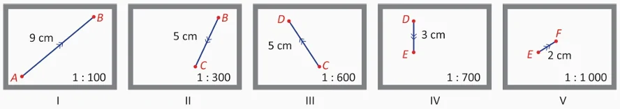 Ilustração da Questão